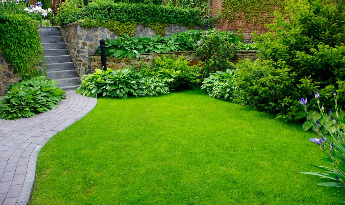 Lawn Care Background Image