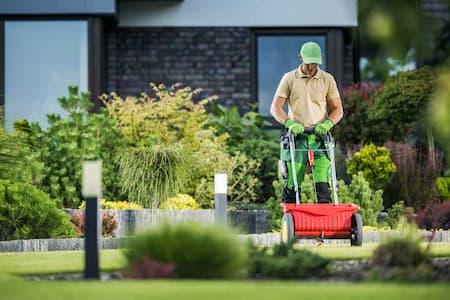 How Eureka Property Owners Benefit From Lawn Fertilization