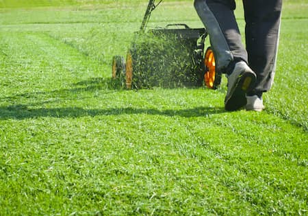 What Lawn Mowing Schedule Is Best For Your Eureka Property